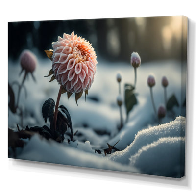 A Blooming Pink Dahlia Flower in Winter I - Graphic Art on Canvas -  Latitude Run®, F55FDFF77BBC4B6494868AC41CFD6A05