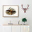Whistling Ducks by Elizabeth Gould - Picture Frame Painting Print-55612113-55612114
