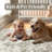  Elegant Modern Machine Woven Area Rug in Brown-808527797