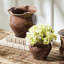 Conservatory Ceramic Planter-1609929122