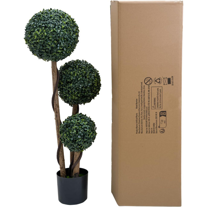 11.42cm Plant