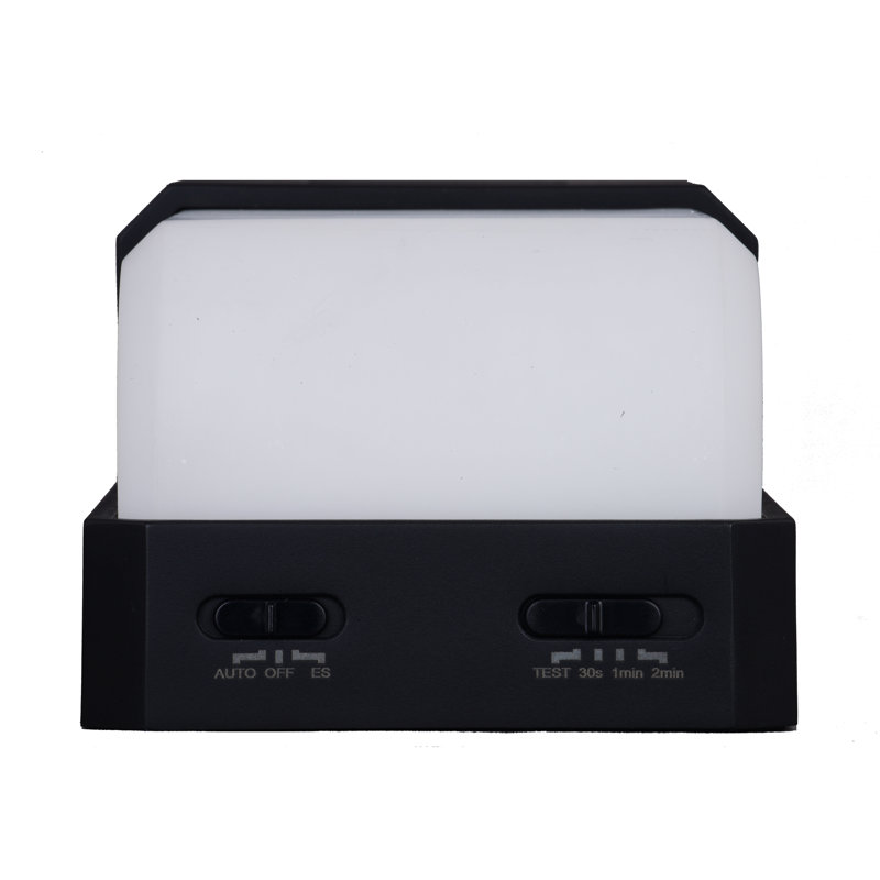 Black Solar LED Outdoor Wall Light with Motion Sensor and Frosted Shade