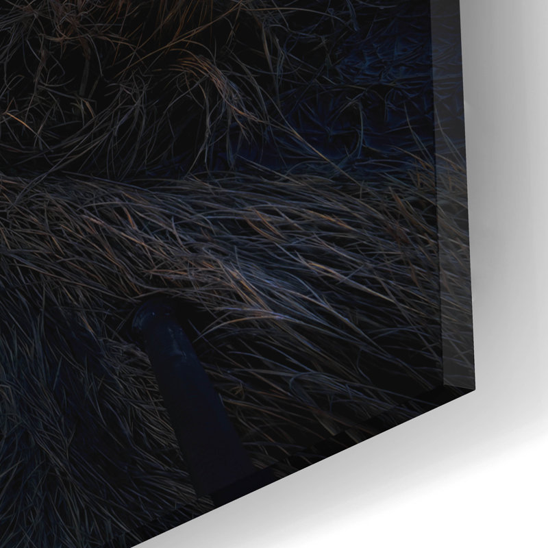 Art mural en verre Ebern Designs «Morning Dory» par Rick Berk, H 12 po x l 16 po x P 0,13 po