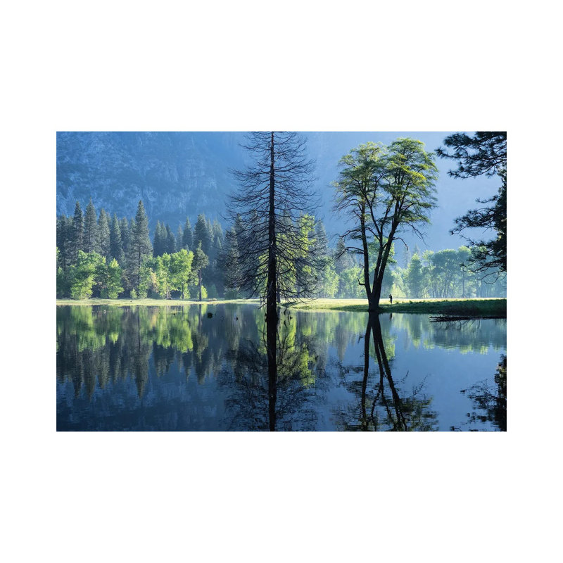 Morning Observer by Heather Roberson - Wrapped Canvas Print, 20.32 cm H x 30.48 cm W