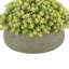 Sedum Arrangement in Fiberstone Pot-736966111