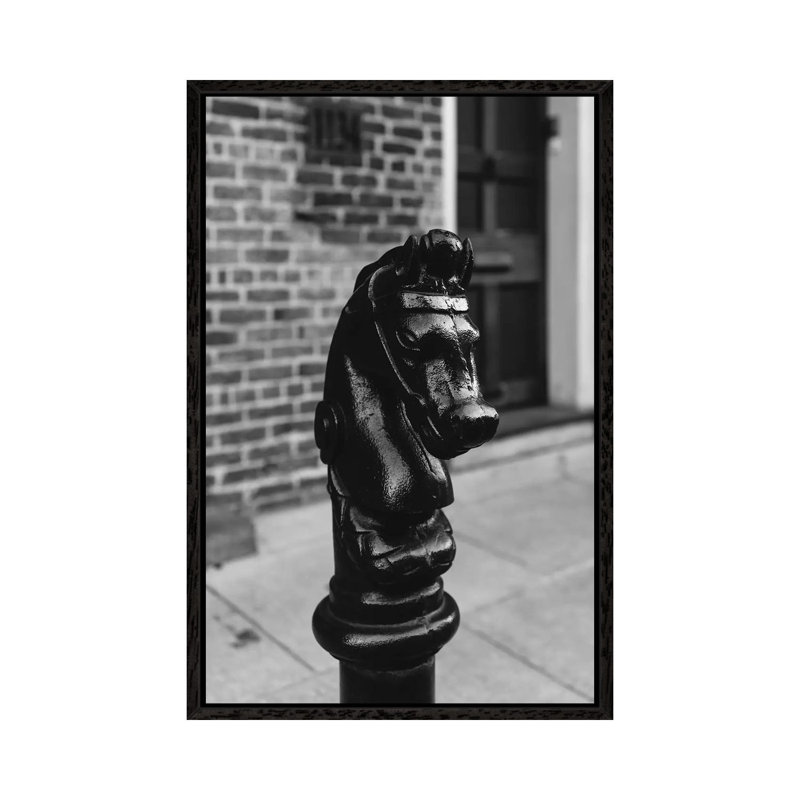 New Orleans Horse by Bethany Young - Print on Canvas, 66.04cm H x 45.72cm W x 3.81cm D, Black Framed
