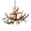 10 - Light Chandelier