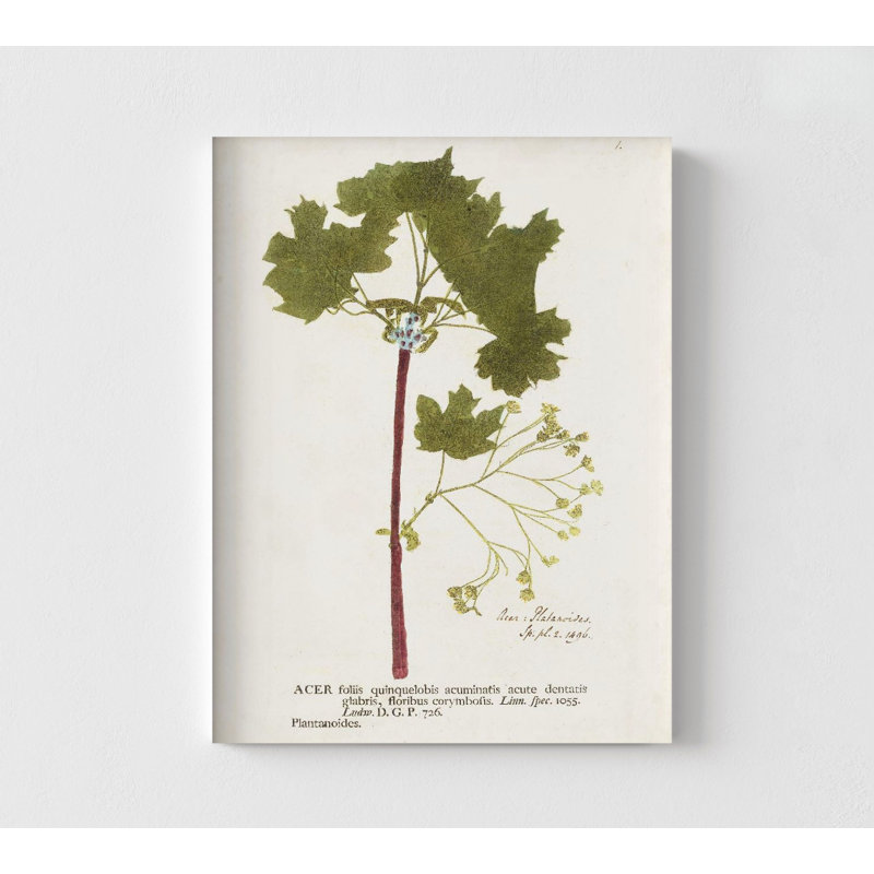 Idée de cadeau pour garçon, décoration de salle de jeu pour éclaireuse, grande maison de campagne rustique, H 7 po x l 5 po