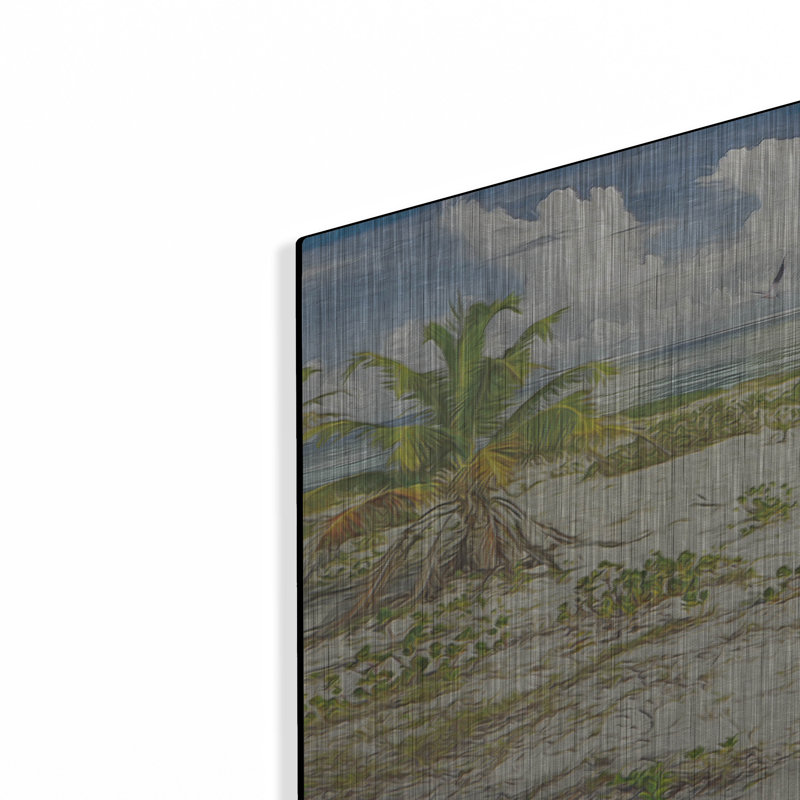 «Tropical Loners» par Steve Hunziker OOB, H 24 po x l 48 po