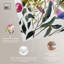 «Watery Petals I», art floral chic par Art Remedy-113282563-113282570