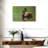 Brampt Mallard Duck Couple-107854953