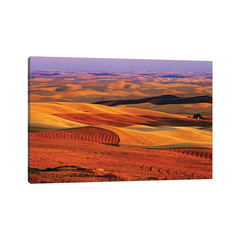 USA, Washington State. Palouse Farming Landscape. by Jaynes Gallery - Wrapped Canvas Gallery-Wrapped Canvas Giclée
