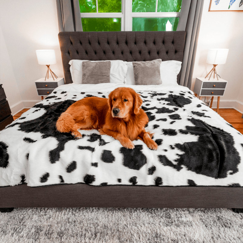 King Size Black and White Faux Fur Pet Blanket