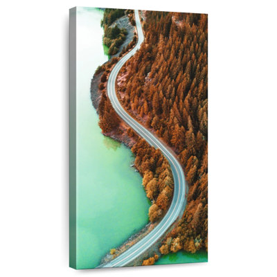 Diablo Lake Pine Forest