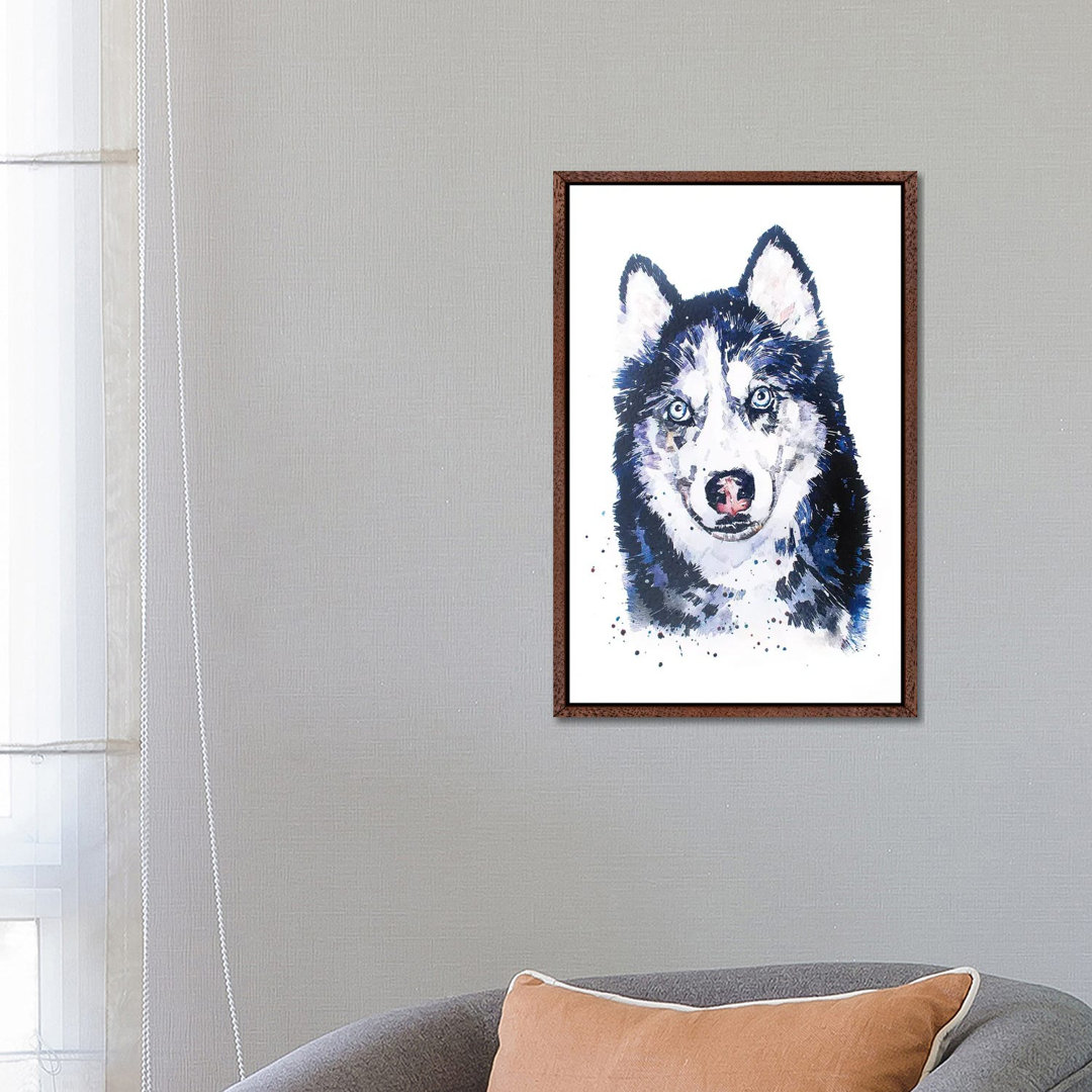 Siberian Husky 1PC6