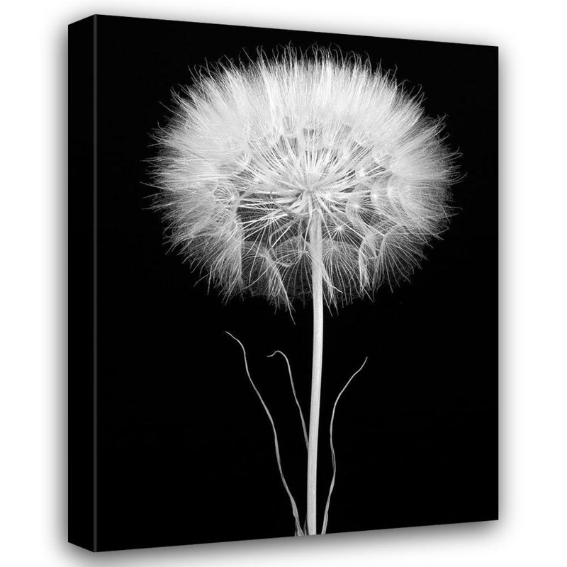 «Latitude Run® Rosenthal, Barry», art sur toile tendue avec châssis: salsifis, H 47 po x l 36 po