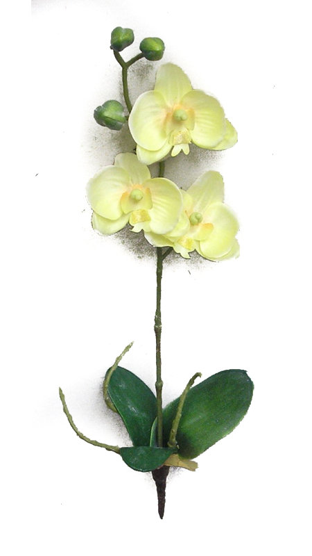 Arrangement floral orchidées, Jaune