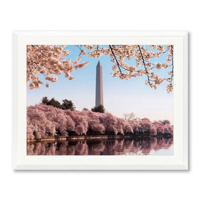 Washington Monument At Cherry Blossom Time Photographic Print