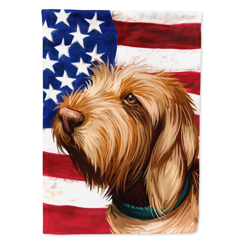Polyester à 2 côtés 28 x 40 po drapeau maison, Griffon fauve de Bretagne