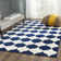 Chevron Hand Woven Area Rug