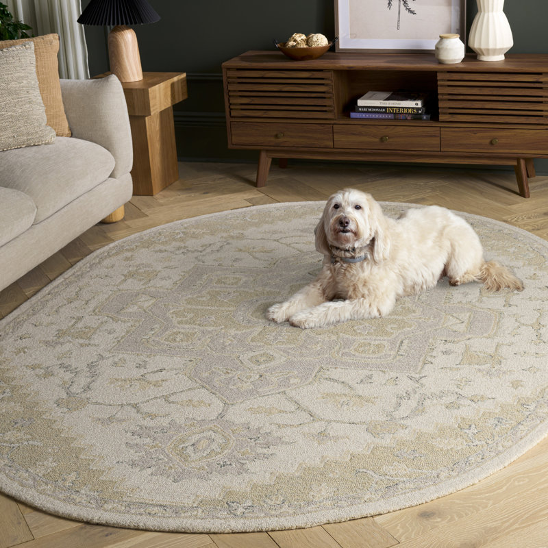 Barden Hand Tufted Oriental Area Rug, Rectangle 3' x 5'