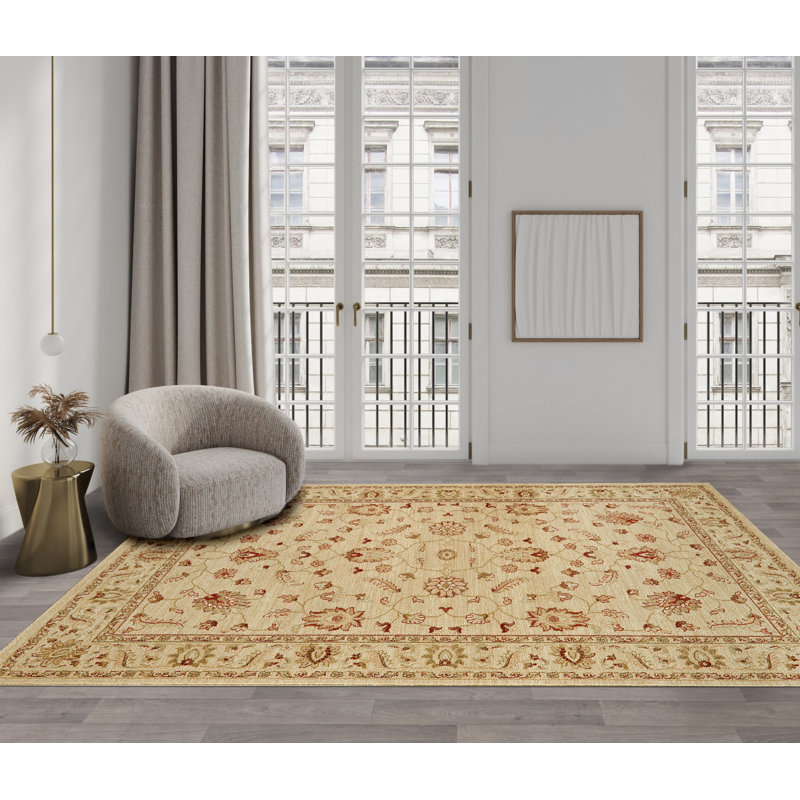 Aguilar Oriental Area Rug, Rectangle 200 x 300cm