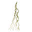 Mossy Twig Vine (ensemble de 6)