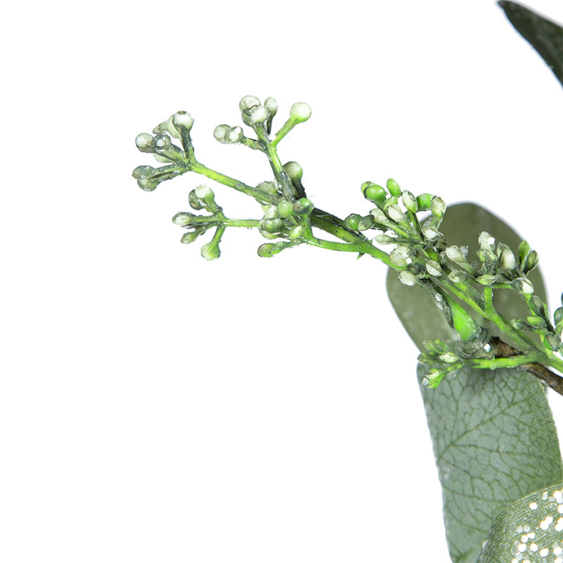 D23,6 po, couronne d'eucalyptus, vert