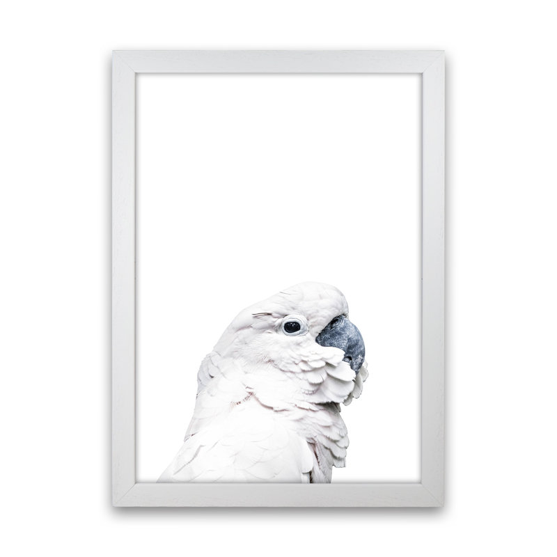 White Cockatoo by Victoria Frost - Print, White Framed, 46cm H x 34cm W x 3cm D