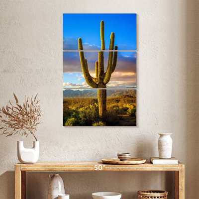 Harnek Saguaro National Park East III