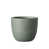 Gris vert