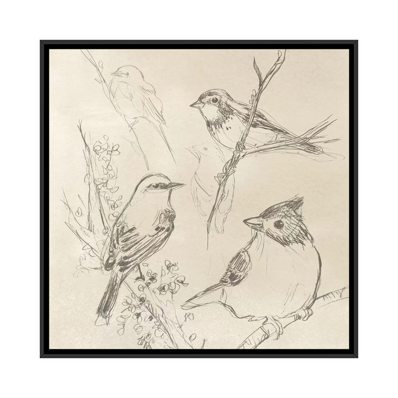 « rétro songbird croquis i », impression sur toile, H 18 po x l 18 po x P 1,5 po, Toile avec cadre noir, Pas de tapis