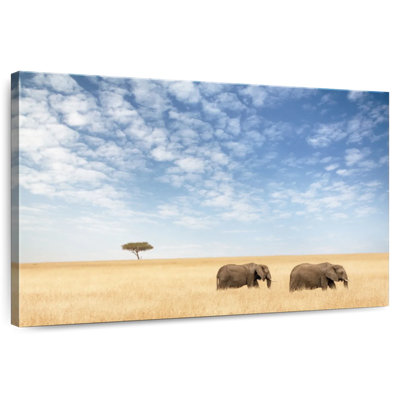 Elephants In Sunny Savanna