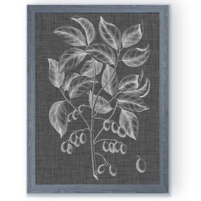 " Graphic Foliage V " by Paul Cezanne Acrylic Painting