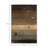 Geovany Rug-20493535