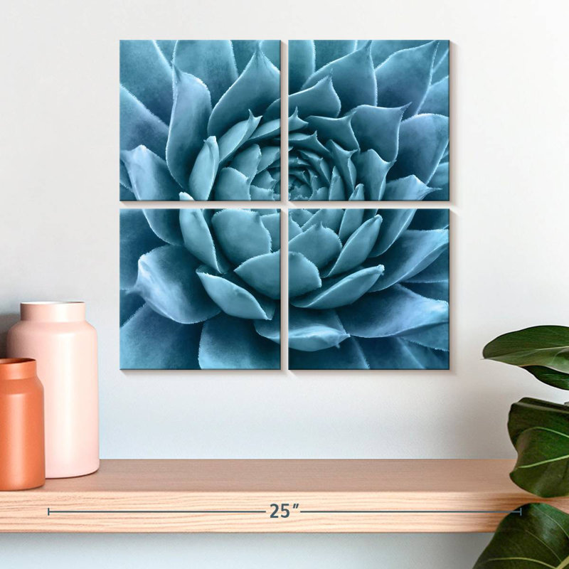 Agave bleu argenté Harnek, H 18 po x l 18 po