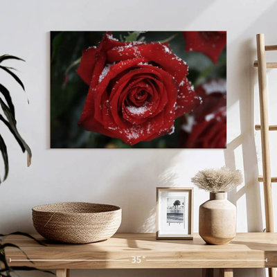 Rose rouge Harnek