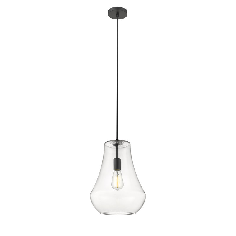 Luminaire suspendu en forme de cloche à 1 lumière Tilsworth, Transparent, Noir mat, H 136 po x l 11,75 po x P 11,75 po