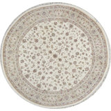 Oriental Area Rug