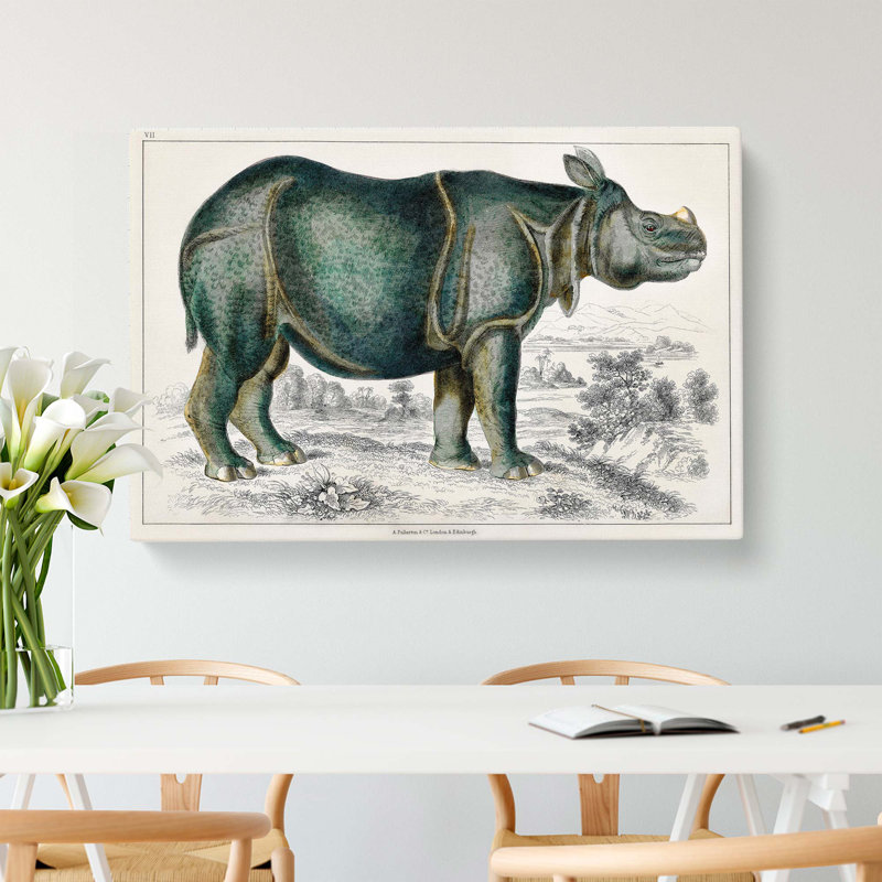 Rhinoceros Illustration by Oliver Goldsmith - Wrapped Canvas, 50cm H x 76cm W x 3cm D
