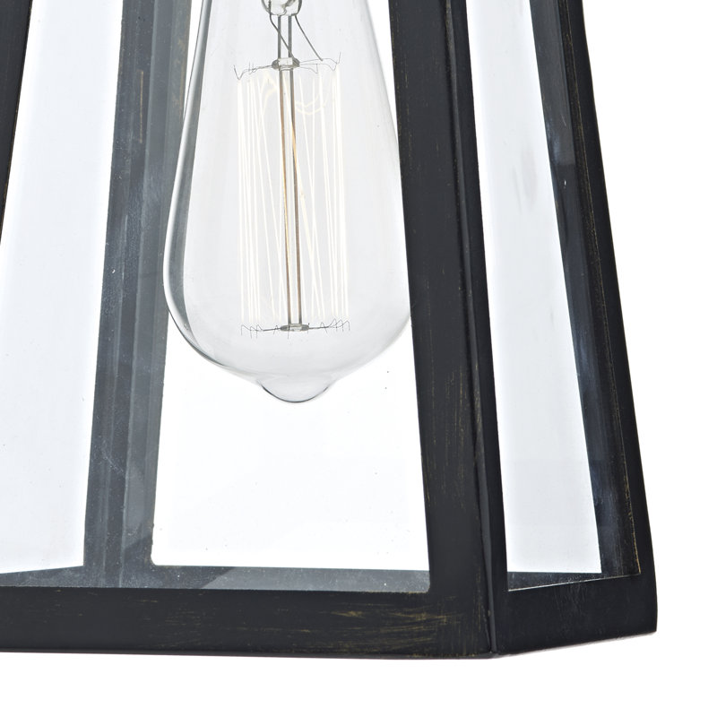 Aagje Black/Clear Plug-in Outdoor Wall Lantern