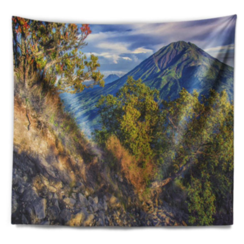 Paysage, volcan Merbabu en tapisserie Java, H 68 po x l 80 po