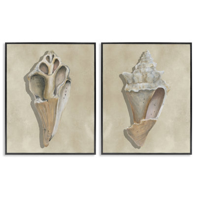 «Broken Beach Shells», ensemble de 2 giclées par Michael Willett