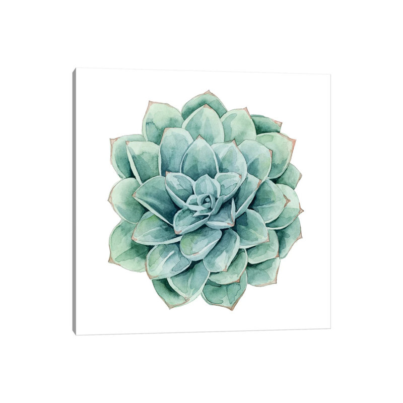 Succulent Swatches I by Grace Popp - Wrapped Canvas Painting, 45.72 cm H x 45.72 cm W x 1.91 cm D