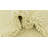 Noack Ivory Rug