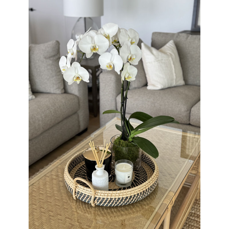 Rattan Tray