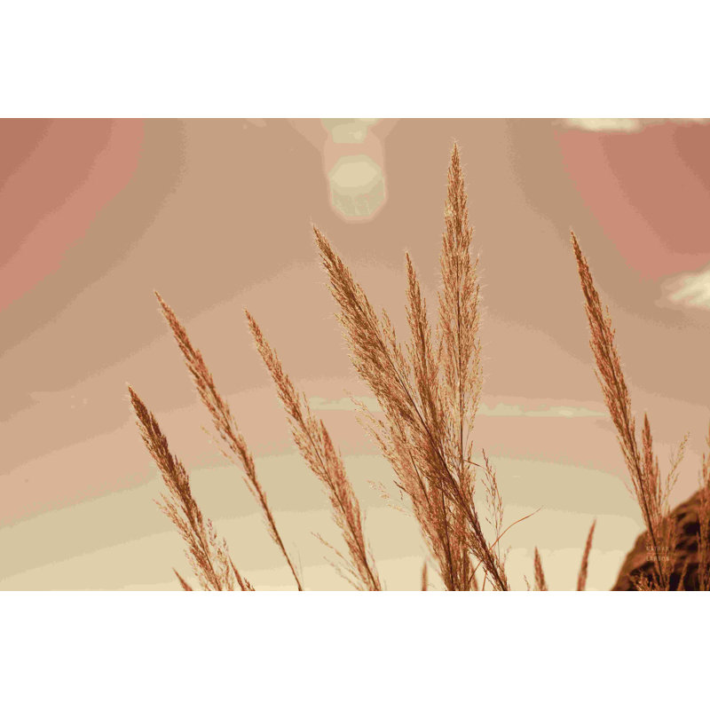 «Lakeside Grasses VI» par Nathan Larson - impression, H 8 po x l 12 po, Papier avec cadre doré simple avec cadre doré