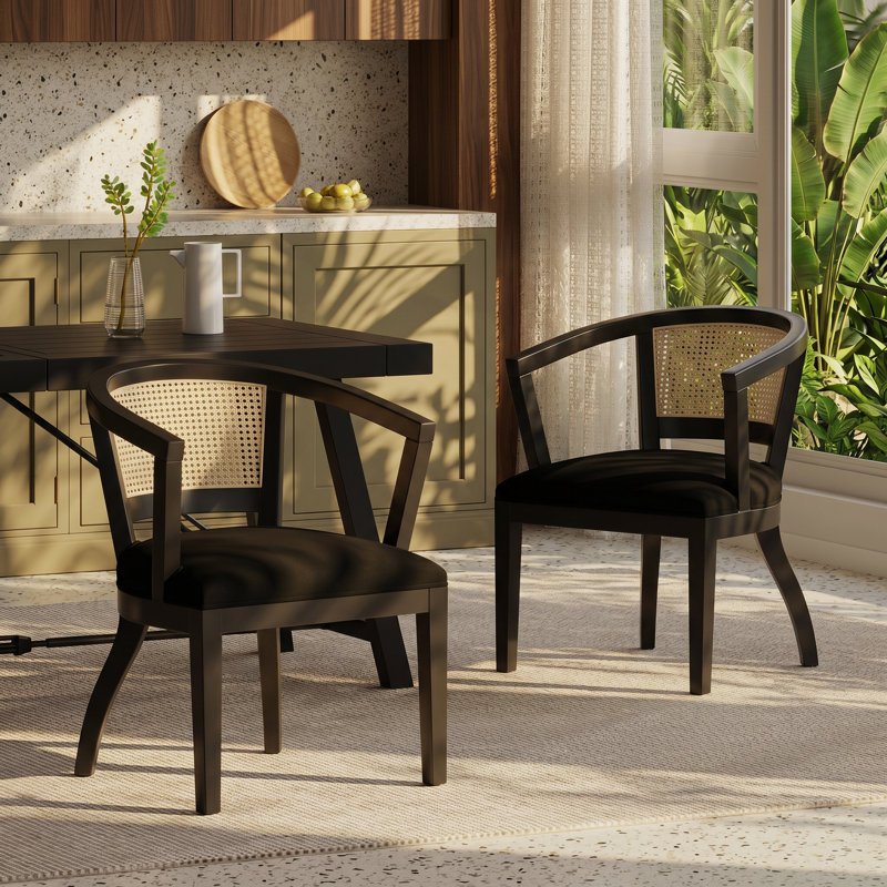 Ensemble de chaises de salle à manger à accoudoirs en velours l 23,5 po x P 21,5 po x H 30,5 po Christopher Knight Home (ensemble de 2)