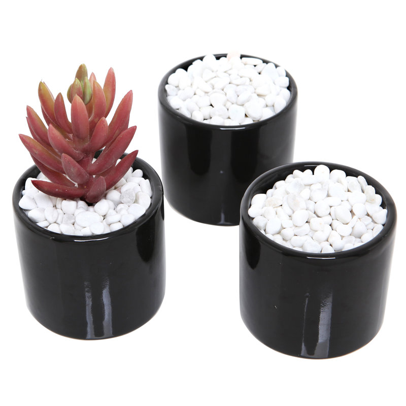 Landscape & Nature Vase Filler