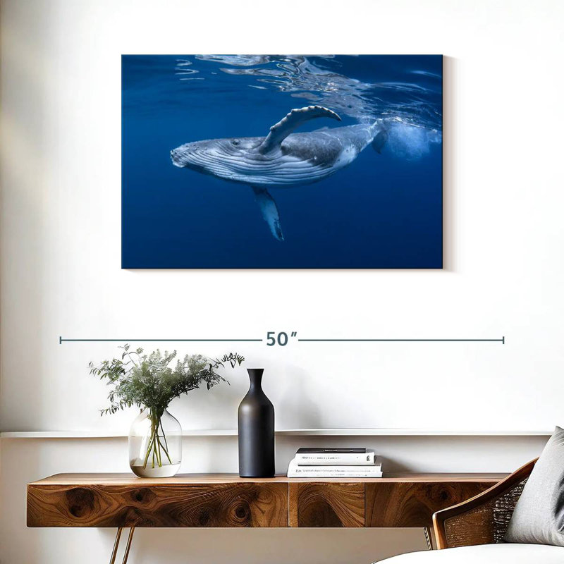 Brampt Baby Humpback Whale, 24" H x 36" W
